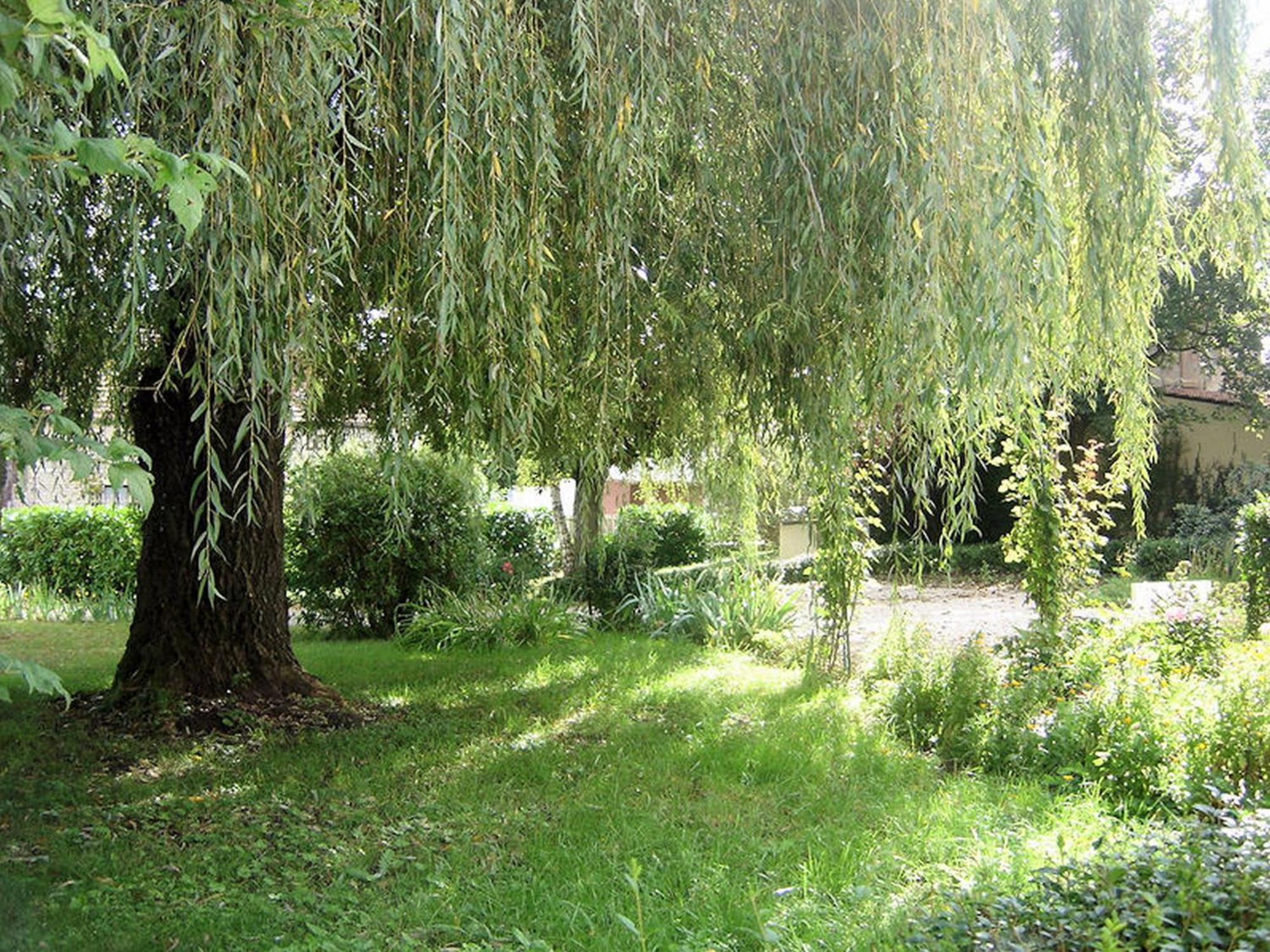 B&B Les Cistelles Saint-Nicolas-les-Citeaux Экстерьер фото